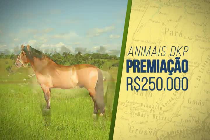 Leilão Crioulos do Brasil – Haras Anchieta DKP