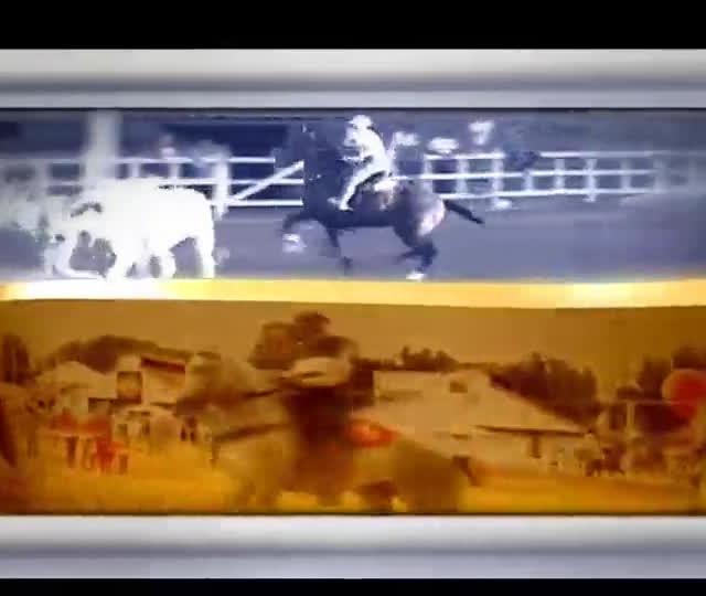 Especializada em MG leva 160 animais à pista