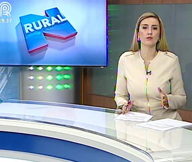 Fonte: Henrique Bighetti/Canal Rural