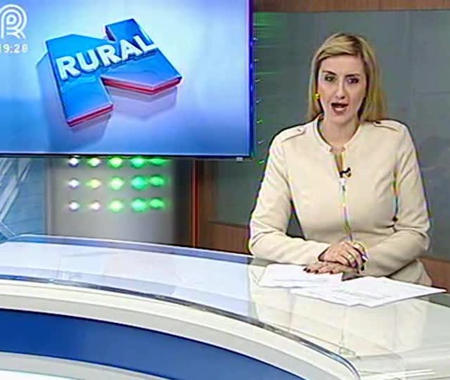 Saiba o melhor momento para vender a soja