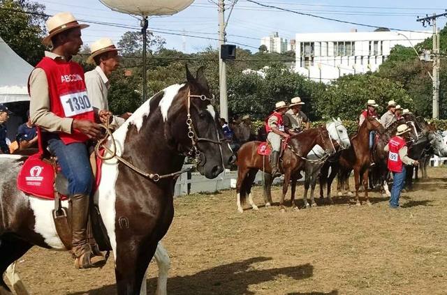 Fonte: Henrique Bighetti/ABCCC