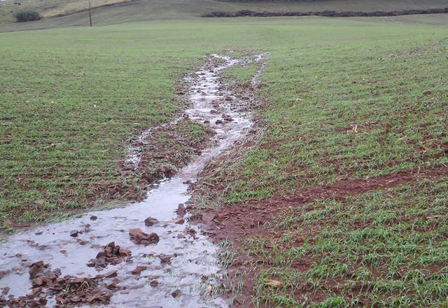 Excesso de chuvas atrasa plantio de trigo no RS