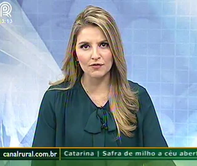 Soja em grão se desvaloriza