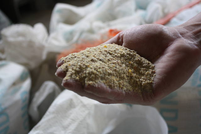 Farelo recua e óleo de soja sobe em Mato Grosso