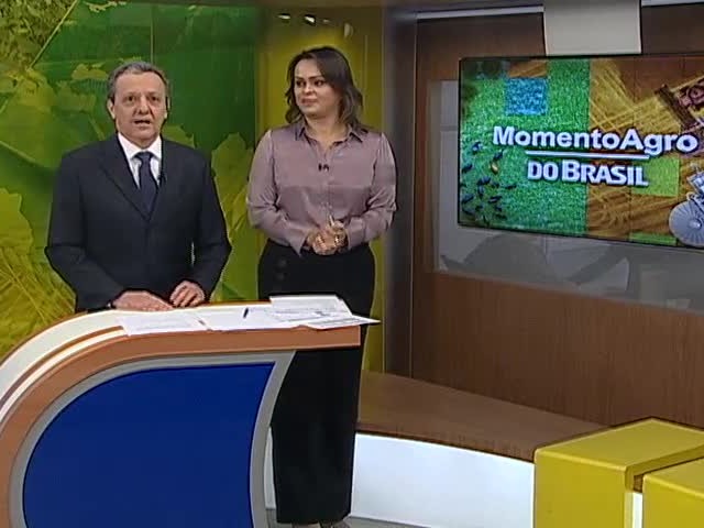 17% da área plantada no Brasil conta com seguro rural