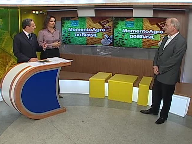 Entenda como funcionam os contratos de opção de venda