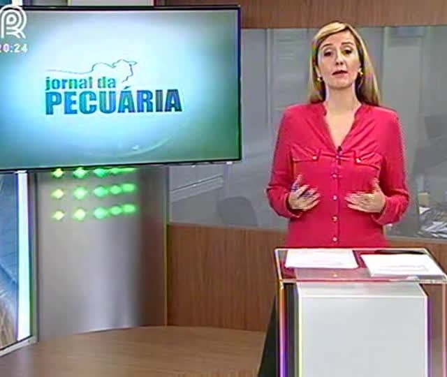 SP: campeonato do quarto de milha deve reunir 60 mil pessoas