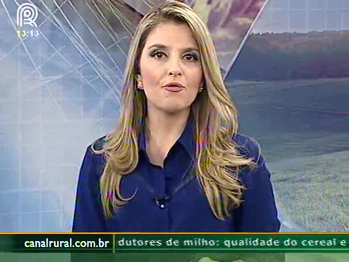 Grãos: preços dependem do clima nos EUA