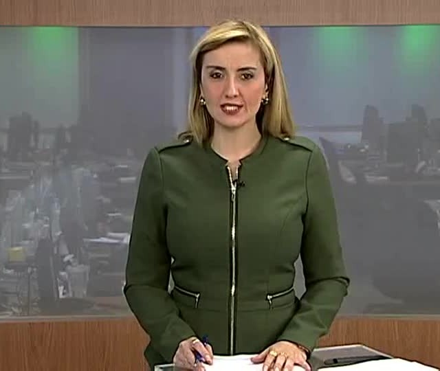 Versatilidade atrai apaixonados pelo Quarto de Milha