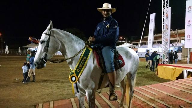 Mangalarga Marchador premia os melhores da raça