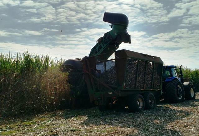 Fonte: Suelen Farias/Canal Rural