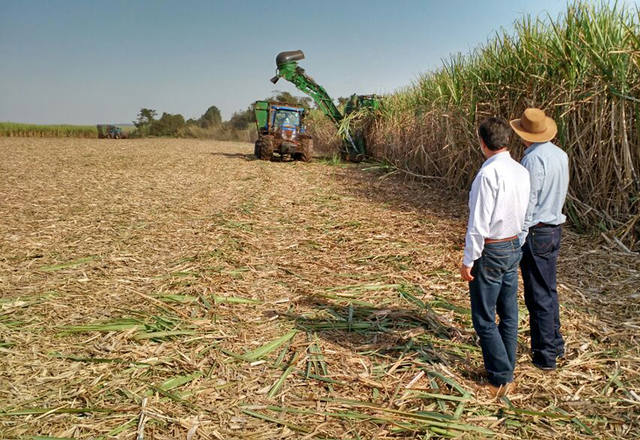 Fonte: Suelen Farias/Canal Rural