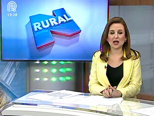 Fonte: Suelen Farias/Canal Rural