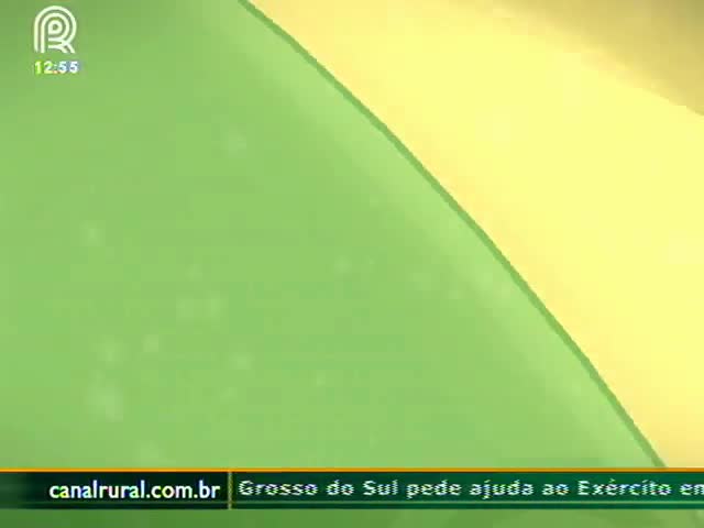 Disputa entre índios e produtores no MS é tema em Bienal