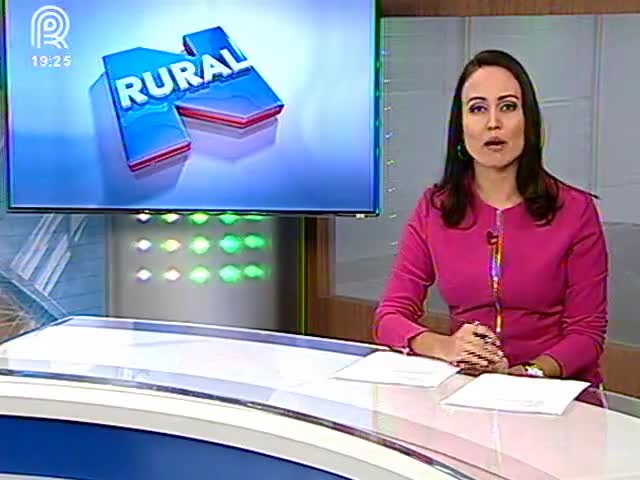 Fonte: Canal Rural