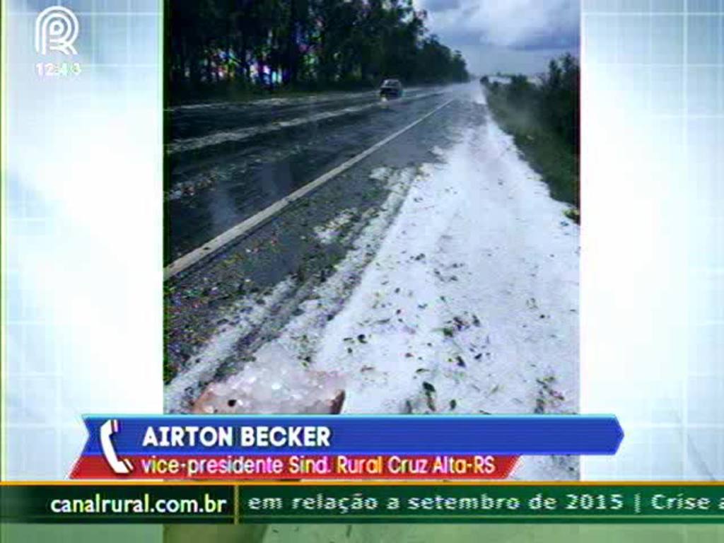 RS: clima pode causar perda de até 100% em lavouras de trigo e milho