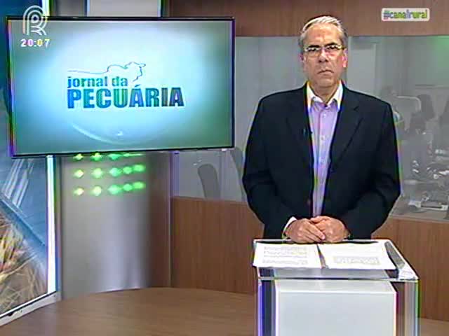 Exportação de carne de frango cai 11,2% em um ano