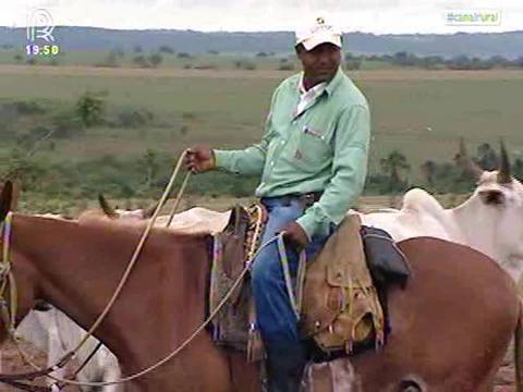 MG: Pecuarista investe em genética e adubação