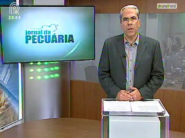 Exportações de carne suína diminuíram 2,5%