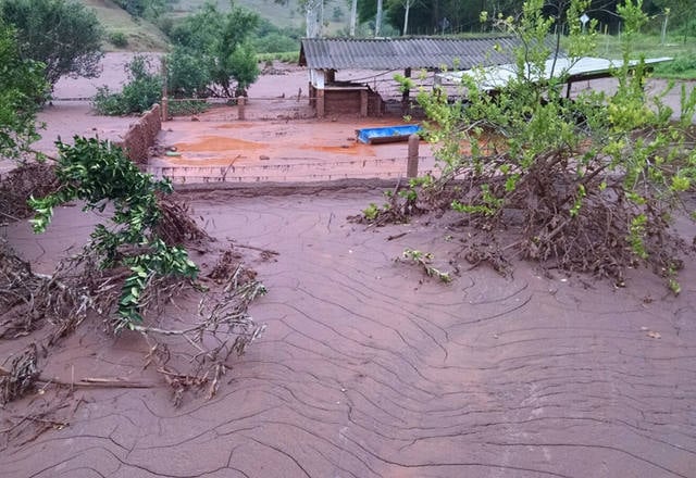 Fonte: Henrique Bighetti/Canal Rural