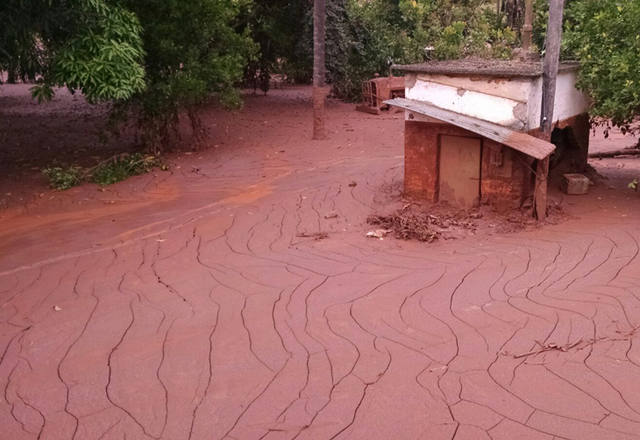 Fonte: Henrique Bighetti/Canal Rural