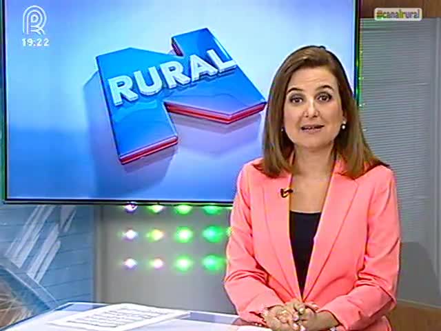 Greve: Governo não consegue responder à altura