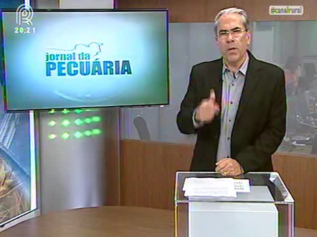 Boi gordo inicia a semana com poucas alterações