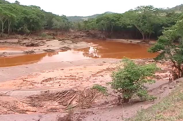 Saiba os impactos ambientais da tragédia em Mariana (MG)