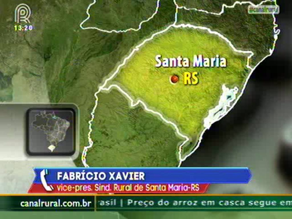 RS: lavouras de trigo sofrem perda de 70%