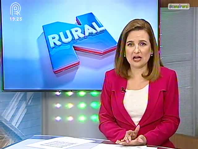 Quais serão os próximos passos da crise política?