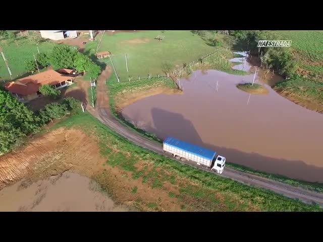 Na Estrada mostra caminho de gado de elite a uma exposição