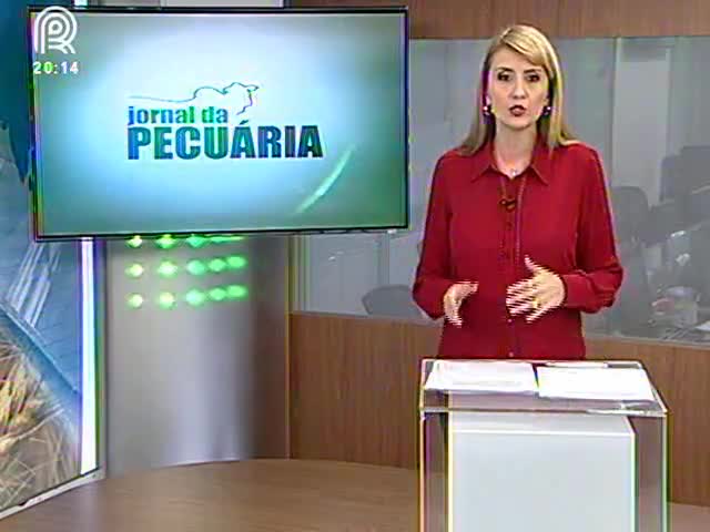 Sobe peso médio de carcaças de animais abatidos