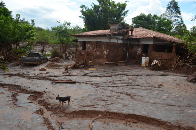 Fonte: Divulgação/Emater-MG