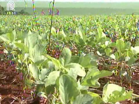 Agricultores de Goiás querem adiar data do plantio