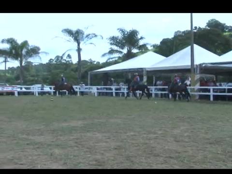 Veja domingo no Mangalarga Marchador TV