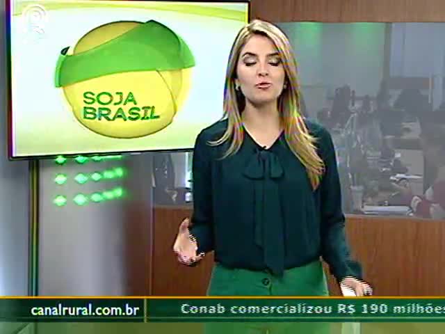 Clima é o principal desafio da safra de soja