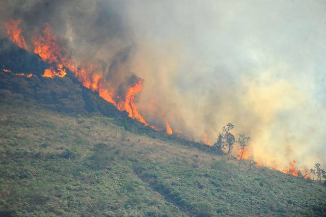 incêndios florestais