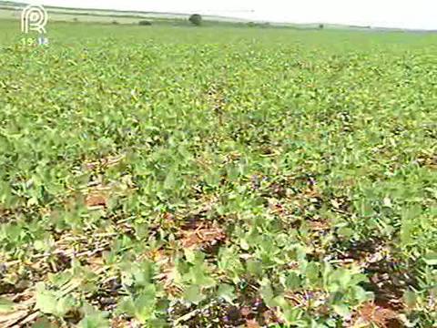 Hidrovia começa a sair do papel em Nova Xavantina (MT)