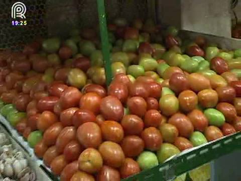 Tomate: preço chega a subir 100% em relação a 2015