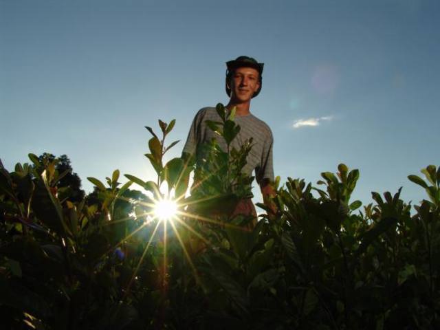 jovem, jovens, ciências agrárias, estudante, curso, agricultor familiar