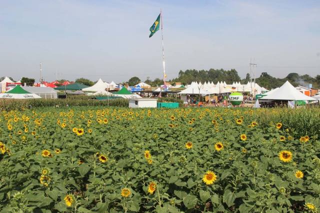 Fonte: Expoagro Afubra/divulgação