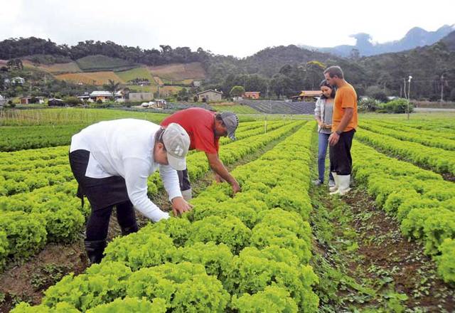 agricultores familiares trabalhando