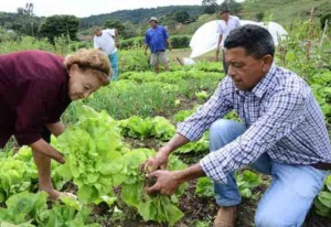 agricultores familiares representados pela Contag, agricultura familiar