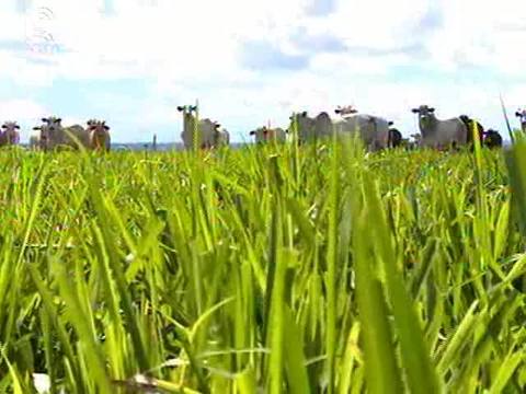 Veja como reduzir os riscos no confinamento