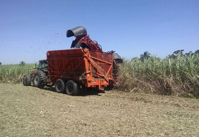 Fonte: Roberta Silveira/Canal Rural