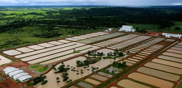 Fonte: Agência de Notícias do Acre / divulgação