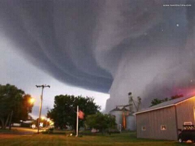 Tornado mata vacas e bois no Uruguai