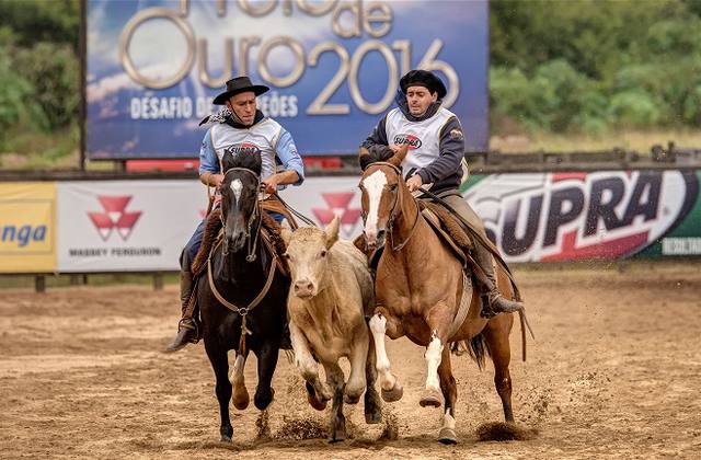 Fonte: Luis Felipe Ulbrich/Freio de Ouro