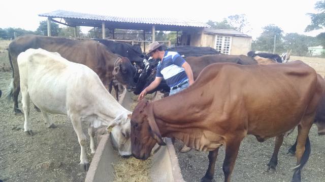 Fonte: Fernanda Farias/Canal Rural