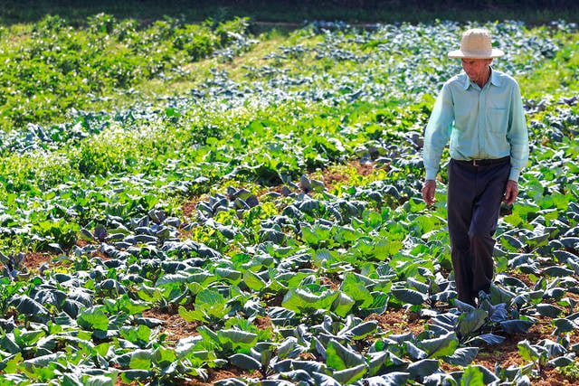 agricultura familiar, produtor, inss